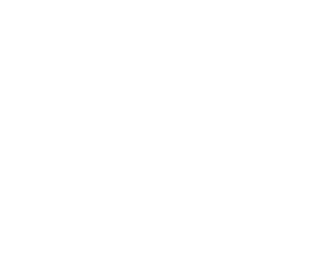 pioneer