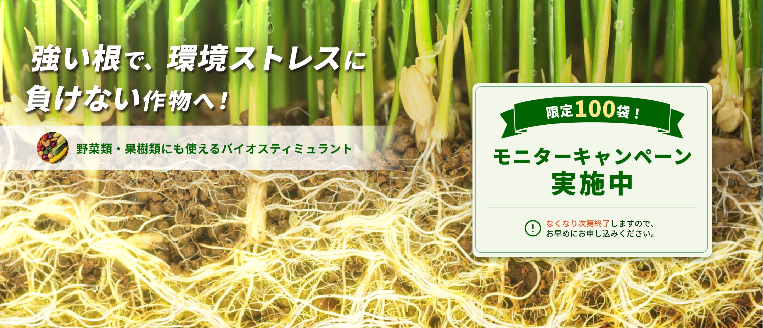マイコアップ kv