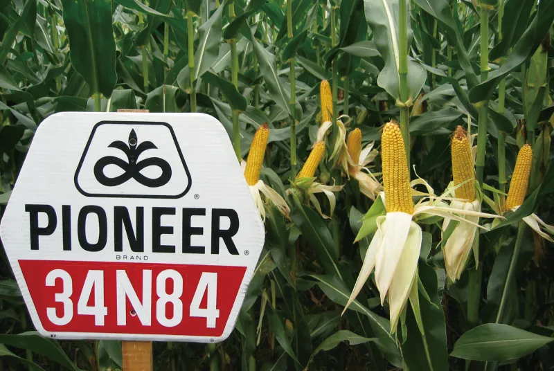 カルーセル画像