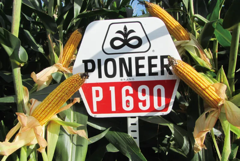 カルーセル画像