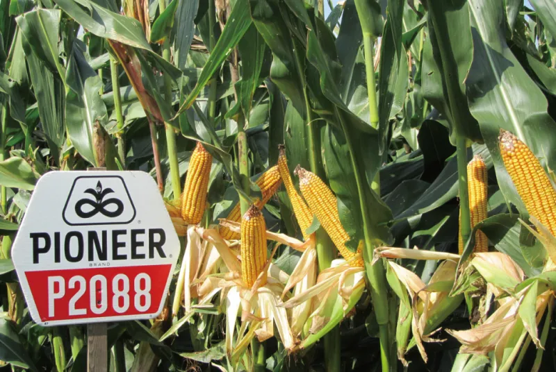 カルーセル画像