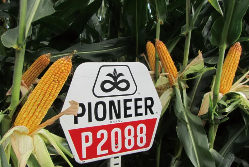 カルーセル画像