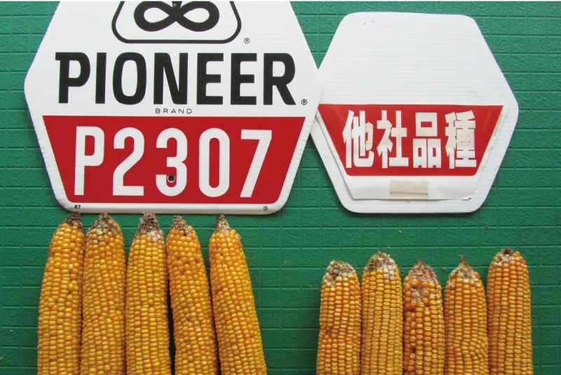 カルーセル画像