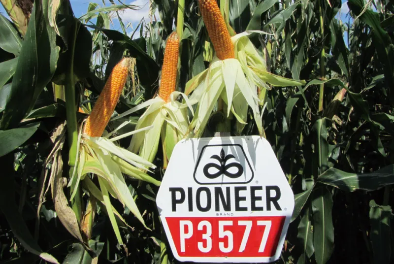 カルーセル画像